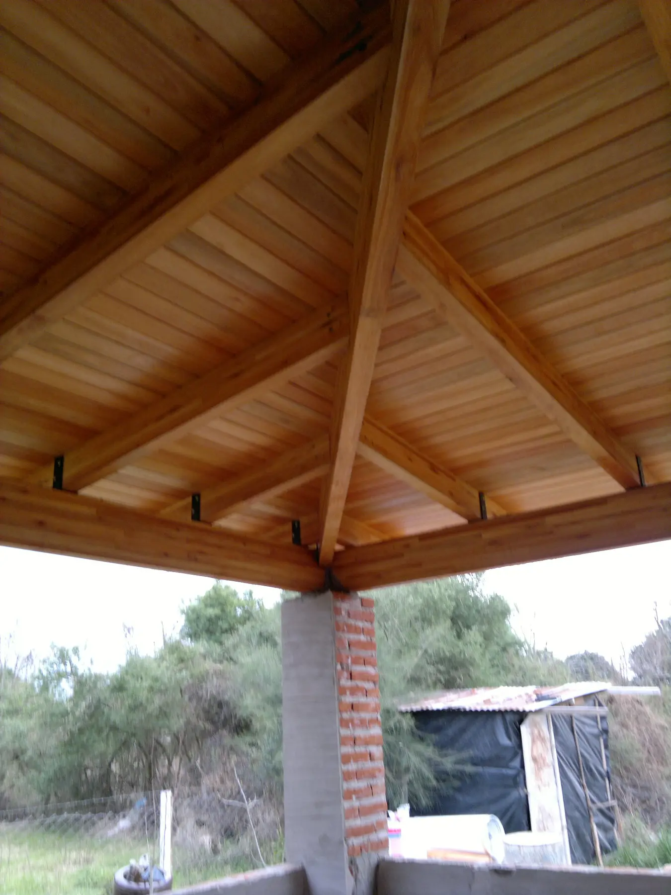 Vivienda Tala, vista 8